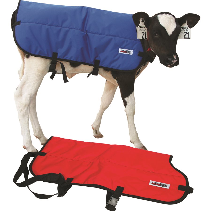 Thinsulate hot sale calf jackets