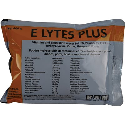 E LYTES PLUS 400G