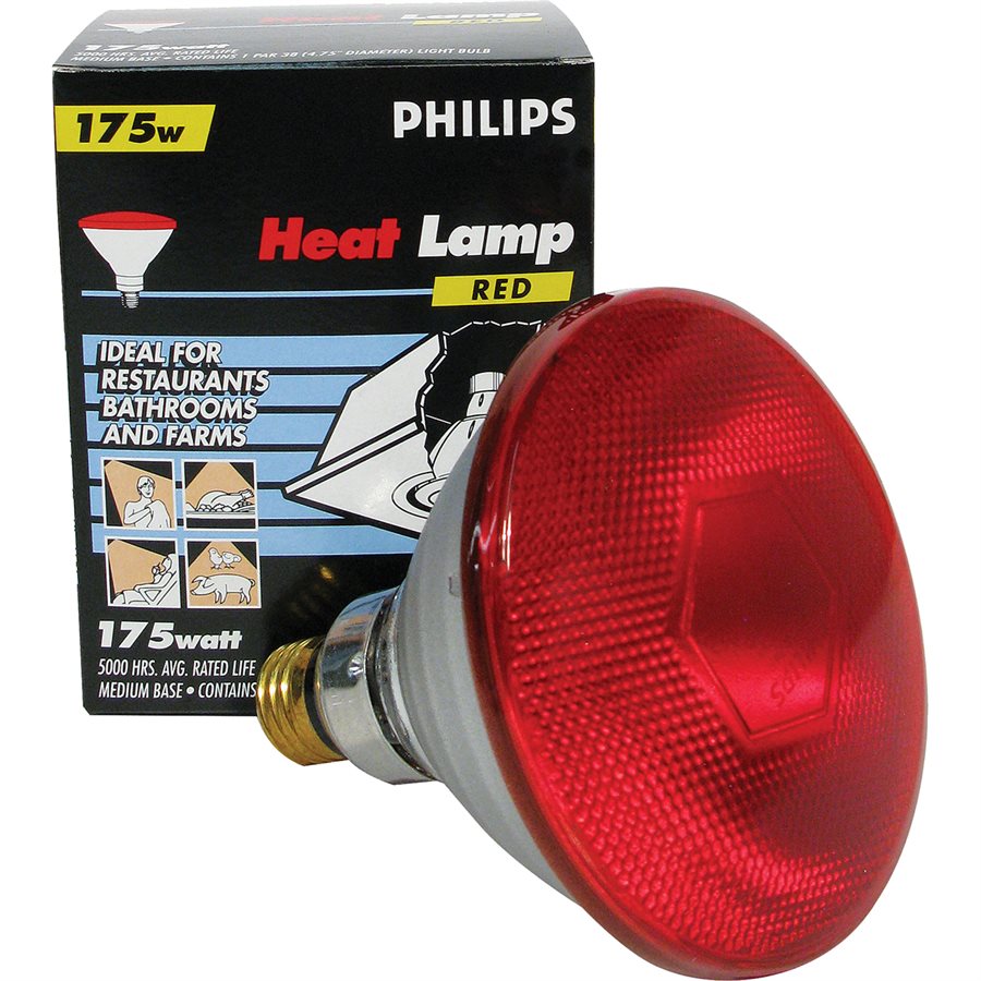 175W RED PHILIPS HEAT BULB